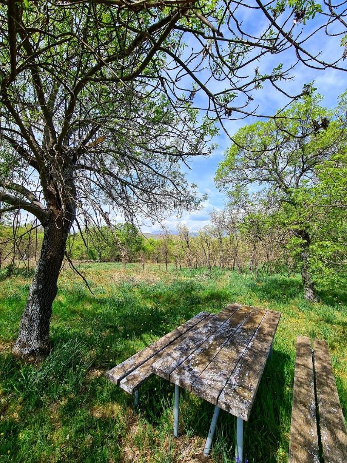 Acogedora Y Romantica Casita En La Sierra Garganta De Los Montes Eksteriør billede