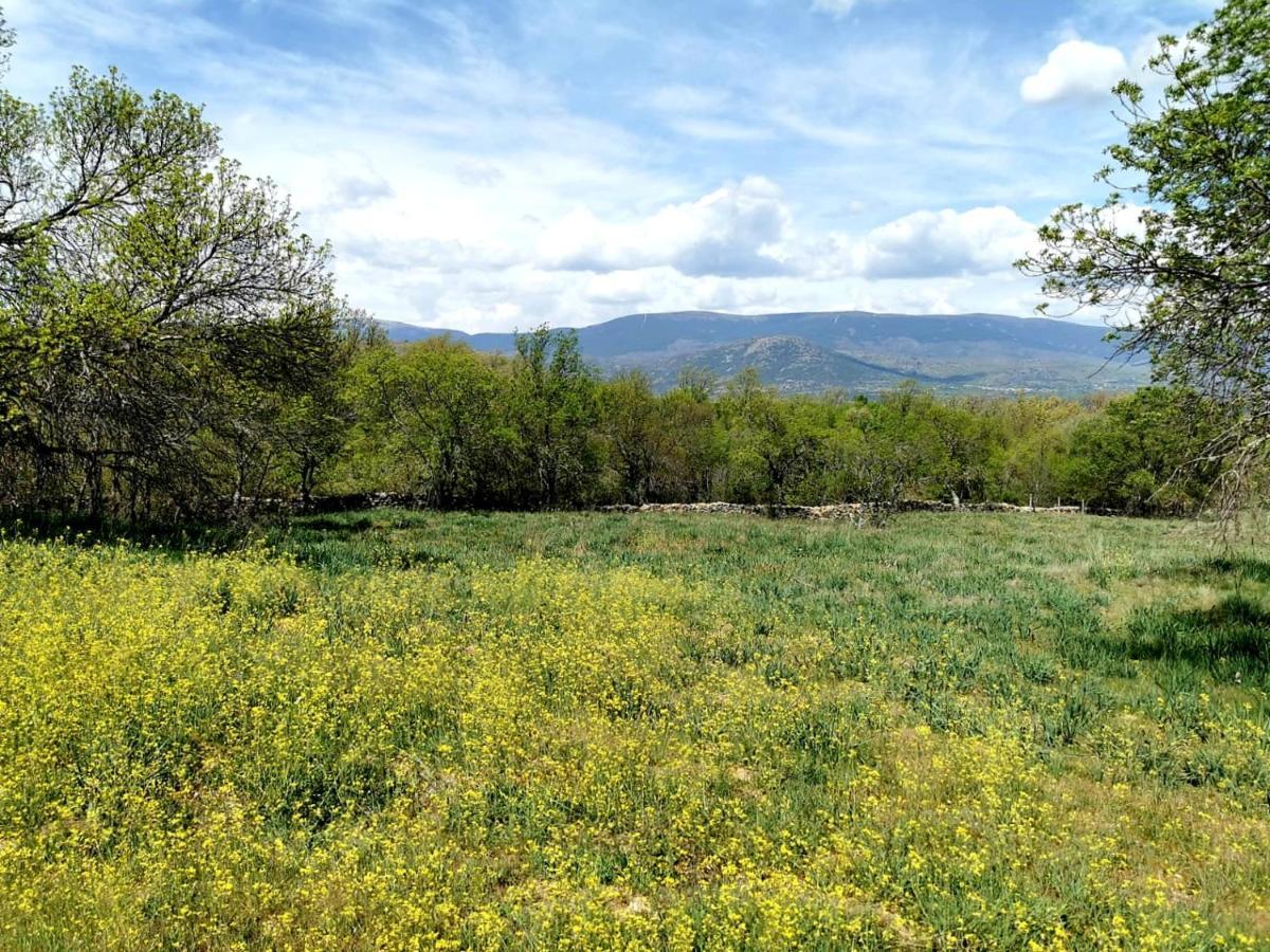 Acogedora Y Romantica Casita En La Sierra Garganta De Los Montes Eksteriør billede