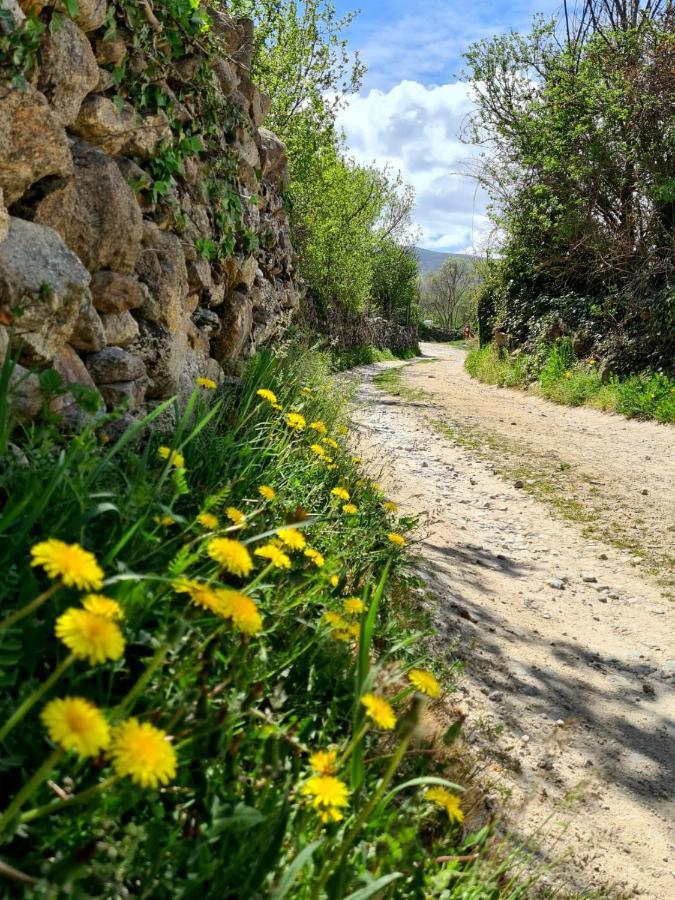 Acogedora Y Romantica Casita En La Sierra Garganta De Los Montes Eksteriør billede