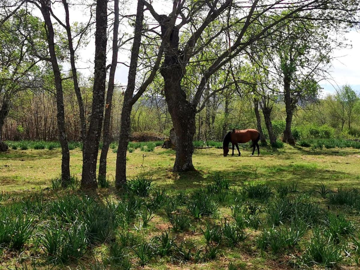 Acogedora Y Romantica Casita En La Sierra Garganta De Los Montes Eksteriør billede